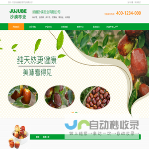 新疆沙漠枣业有限公司